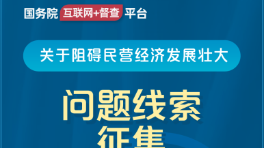 极品欧美女日美逼国务院“互联网+督查”平台公开征集阻碍民营经济发展壮大问题线索